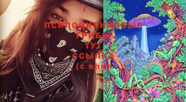 таблы Алзамай