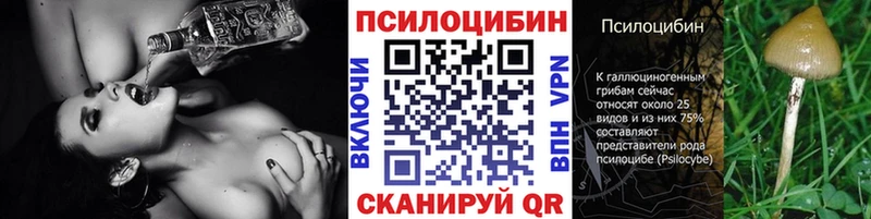 где можно купить   mega ссылки  Галлюциногенные грибы MAGIC MUSHROOMS  Малоархангельск 